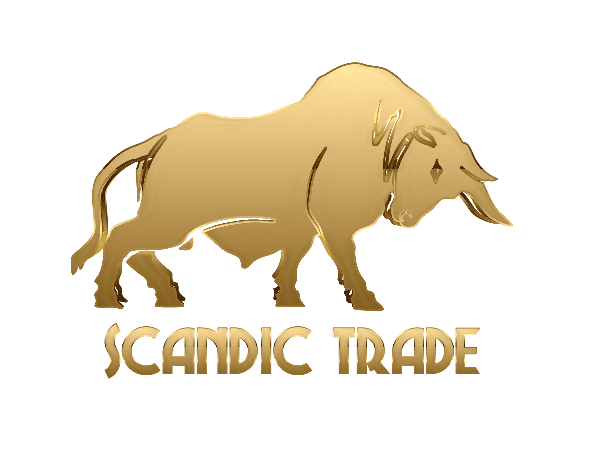 SCANDIC TRADE