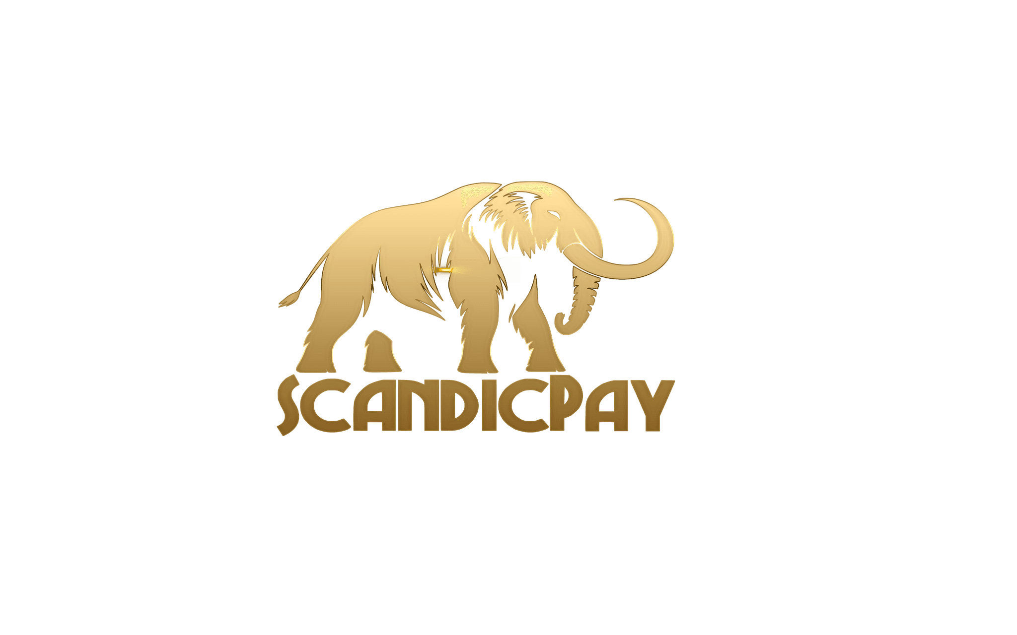 SCANDIC PAY